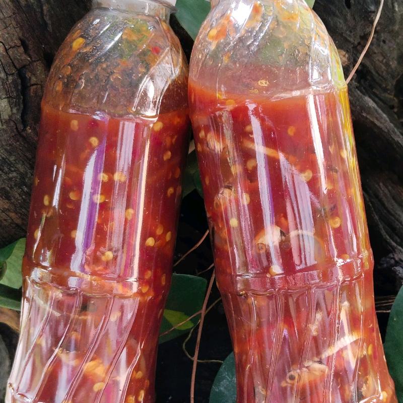 Combo 2 chai Mắm cá cơm gia vị sẵn. Hữu cơ 1