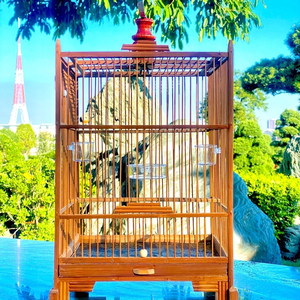 Long Chim Tran Gia 02