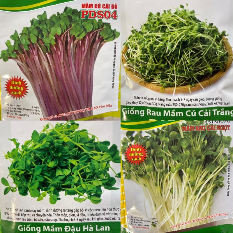 Combo Túi Lớn Hạt Giống Rau Mầm Đa Dạng Tỷ Lệ Nảy Cao >90%