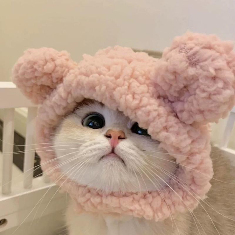 Product Introduction of Funny Pet Costumes: Starfish, Bream, Pig, Chicken, Bear, Panda Headbands for Cats & Dogs 10