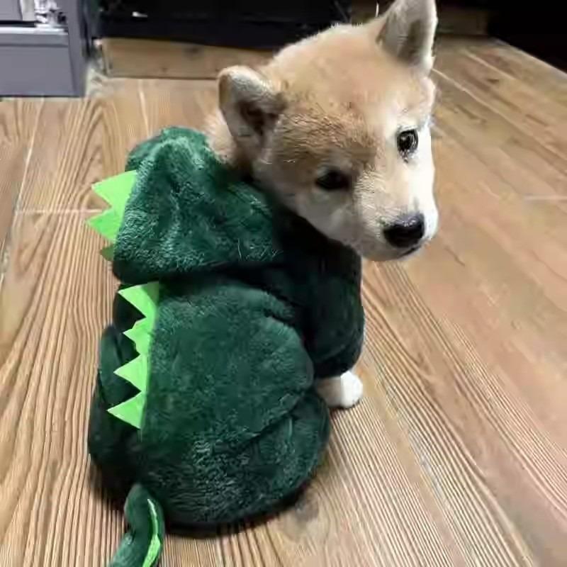 halloween christmas Dog clothes are warm in autumn and winter for small dogs, medium and large dogs, pet cats, four-legged dinosaur cotton clothes for cats, thick and soft 6