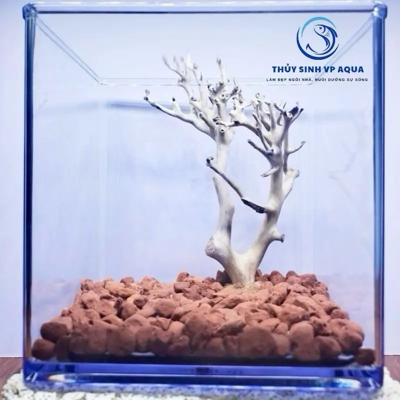 Cây lũa xương tự nhiên kết hợp trải nến bằng sạn gốm CERAMIC, sỏi trắng hoặc sỏi suối nâu cho bể thủy sinh mini