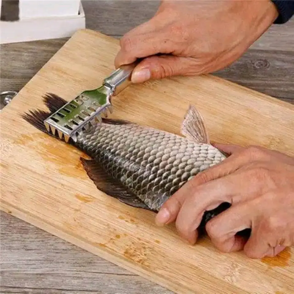 Alat pembersih pengupas sisik ikan stainless - Peeler Sisik Ikan