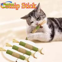 Gambar Vinnatsu NEW Mainan Kucing Catnip Stick Pembersih Gigi Natural Matatabi Ekstra Besar Catnip Stik Alami Suguhan - L dari Vinnatsu MALL2 Kab. Tangerang 1 Tokopedia