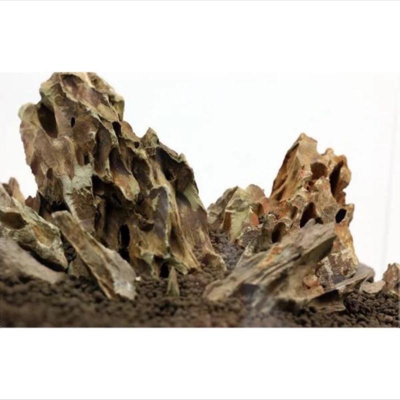 Đá tiger để trang trí bể cá thuỷ sinh bể cá cảnh 1kg