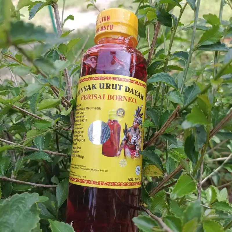 MINYAK URUT DAYAK KALIMANTAN IBU IDA 250 ML Minyak Pijat gosok 3