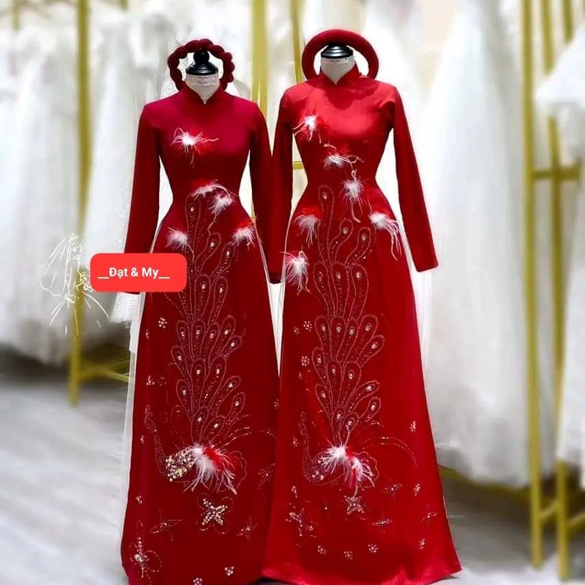 Đ&M16_Tổng hợp Áo Dài Cô Dâu thêu tỷ mỉ, nhẹ nhàng, sang trọng Women Áo Cưới Váy Cưới
