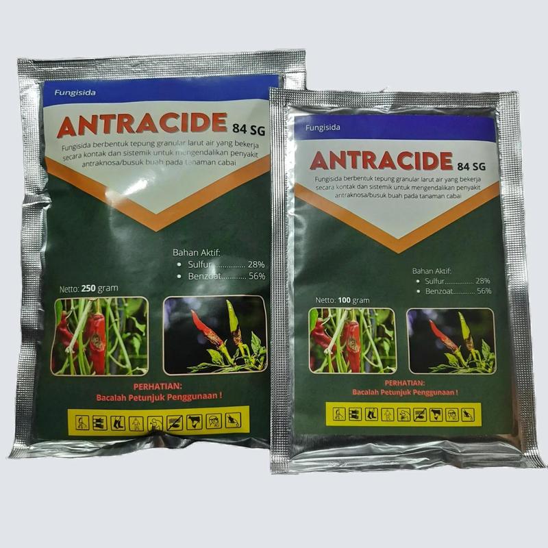 ANTRACIDE 84 SG Fungisida Antraknosa / Patek / Cacar / Busuk Buah dan ...