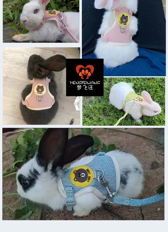Product Introduction of Rabbit Hand Holding Rope Anti Breaking Loose Rabbit Chain Rabbit Walking Rope Stretchable Adjustable Rabbit Walking Rope Rabbit Supplies Collar 4