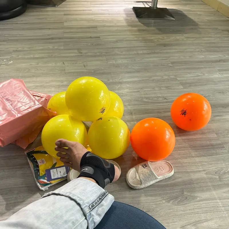 Bóng chuyền hơi Hải Âu 250gram Tròn Sport 2
