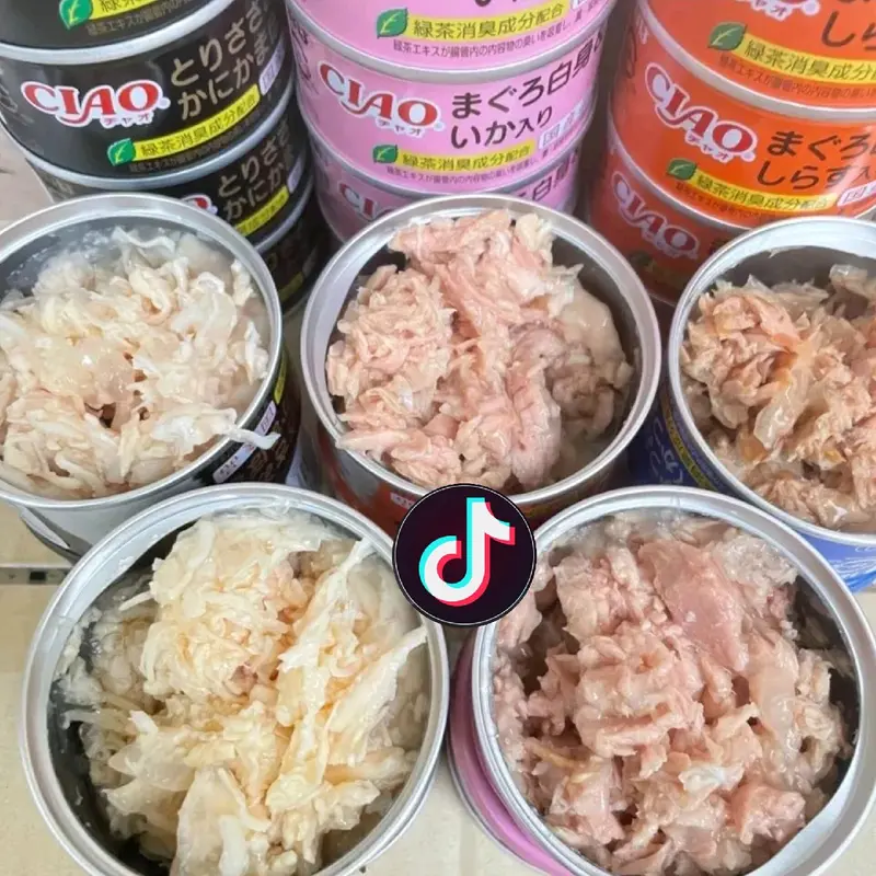 PATE CIAO LON 75G - PATE CHO MÈO MỌI LỨA TUỔI 4