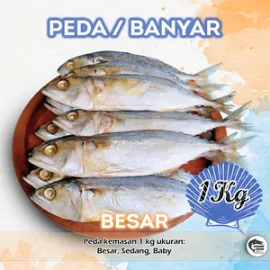 IKAN PEDA ASIN / KEMBUNG BANYAR KERING 1 Kg Food Laut