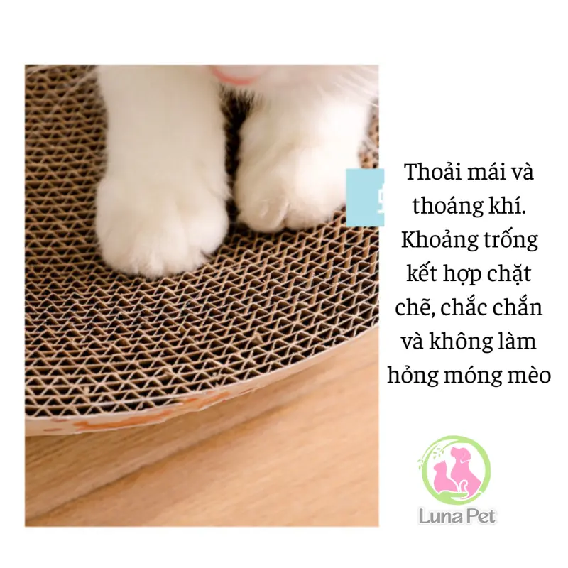 Bàn cào móng cho mèo hình tròn nhiều kích thước Hoshi Pet BM03 - Đồi chơi cho mèo 1