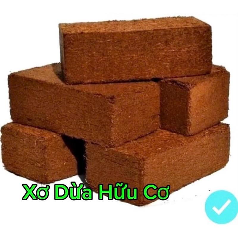 Combo 5 viên nén xơ dừa hữu cơ tặng kèm 1  gói hạt giống