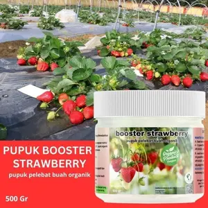 PUPUK ORGANIK BOOSTER STRAWBERRY 500GR KUALITAS SUPER Tanaman