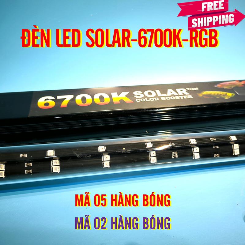 [ĐÈN LED SOLAR] CÓ 02 MÃ: MÃ 5 HÀNG BÓNG và MÃ 2 HÀNG BÓNG, LED SOLAR ÁNH SÁNG 6700K-RGB DÀNH CHO HỒ CÁ CẢNH TANING HUYẾT LONG, QUÁ BỐI, CÁ RỒNG, CHÉM SƯ TỬ, PHI TẦN, CÁ LÓC VÀ CÁ HỒ CỘNG ĐỒNG đèn  cho  giả  lập  ánh  sáng  mặt  trời ngâm nước