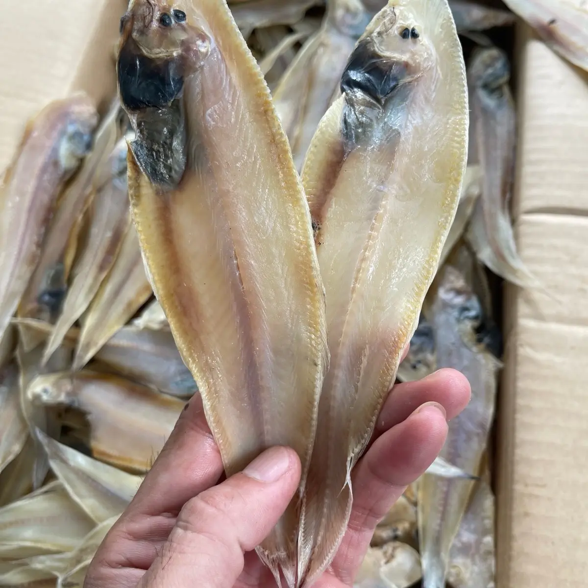 1.KG khô cá lưỡi trâu (vị mặn ăn cơm) ăn lạc cần ngâm nước 30 phút Food