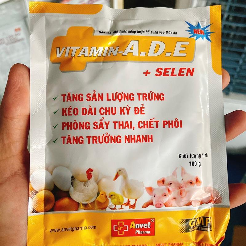 Vitamin ade giúp tăng sản lượng, kéo dài chu kỳ đẻ, tăng trọng dùng cho thú cưng gói 100gram công ty anvet 3