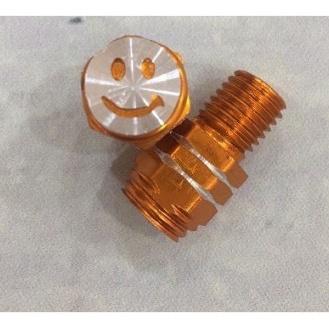 ( 1 cái )  nút bịt chân gương