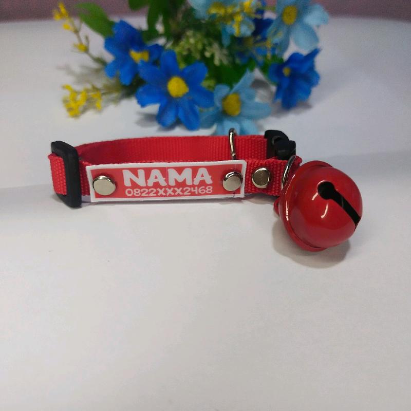 kalung kucing LONCENG JUMBO custom nama motif polos 4
