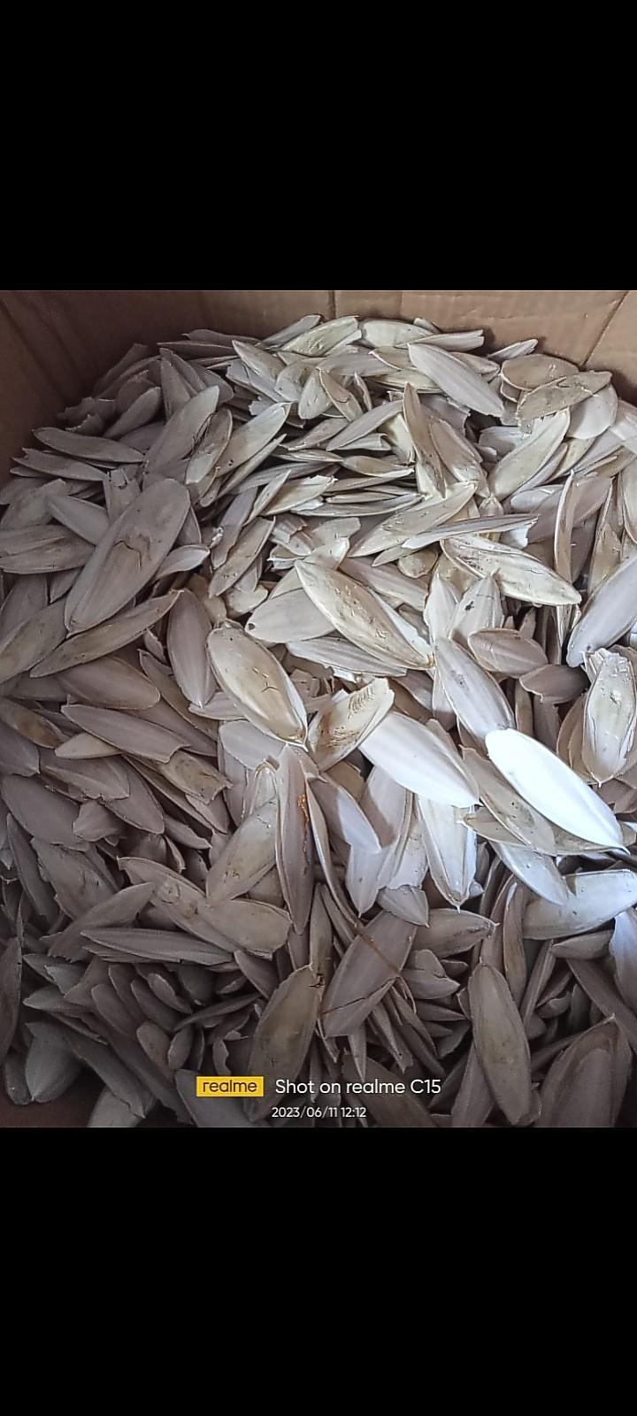 Product Introduction of tulang sotong 2kg pakan burung dan reptil 1