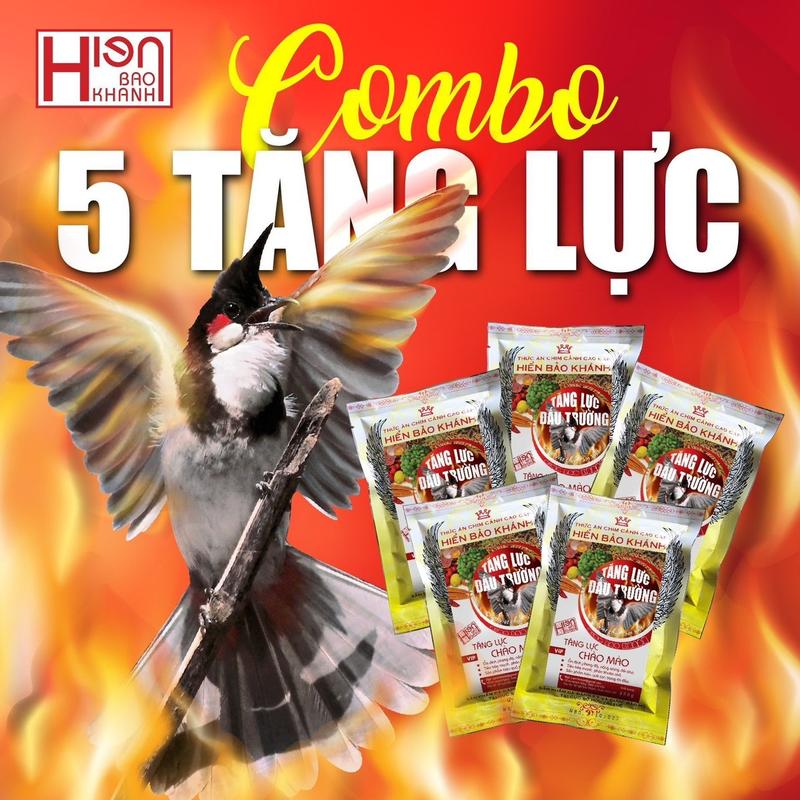 Combo 5 gói cám đấu Tăng Lực HBK cho chim chào mào