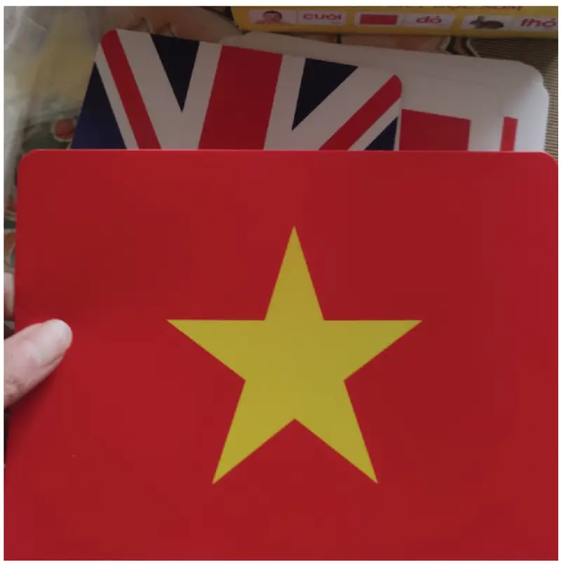 Bộ thẻ flash card học thế giới xung quanh , khổ A5 - 100 thẻ 4