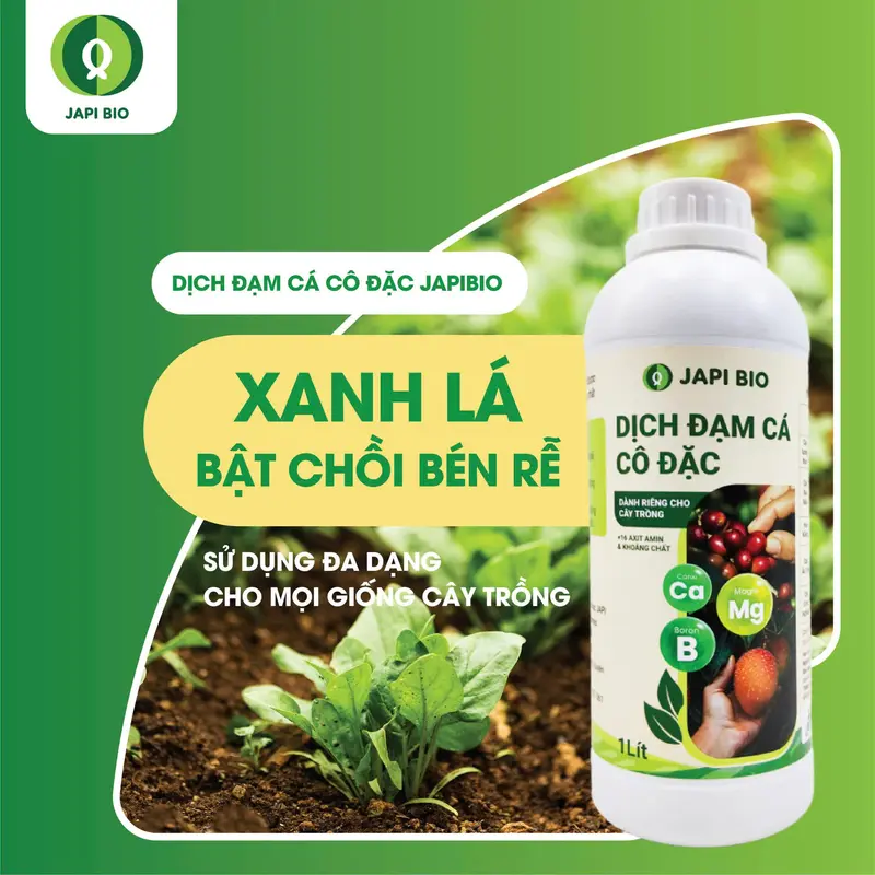 Phân bón hữu cơ Japi Bio (chai 1L) - Dịch đạm cá Amino, giúp cây xanh lá, bén rễ, đất tơi xốp 4