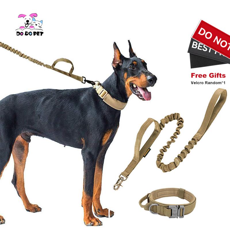  Bộ dây xích cổ thú cưng DODO Bộ cổ chó có thể điều chỉnh K9 Khóa kim loại hạng nặng chiến thuật có tay cầm điều khiển Thích hợp cho huấn luyện săn chó ngoài trời 