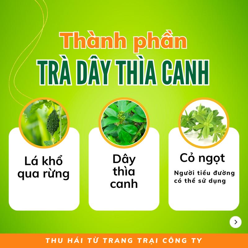 Combo 3 hộp Trà dây thìa canh Mộc Can túi lọc Nước Trà đắng nhẹ ngọt hậu dễ uống Tea Chè - 25 túi lọc loại 5g/túi 1