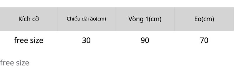 Product Introduction of [ CẢ SET KÈM ỐNG TAY NGẮN ] Quây voan ren lưới tutu chụp ảnh mẫu make up, beauty, váy concept 0
