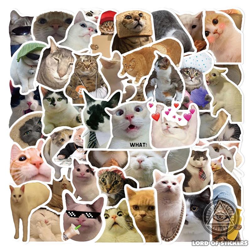Set 50 Hình Dán Meme Sticker Mèo Cute Vui Nhộn Hài Hước Chống Thấm Nước Trang Trí Mũ Nón Bảo Hiểm Ván Trượt Laptop Sổ