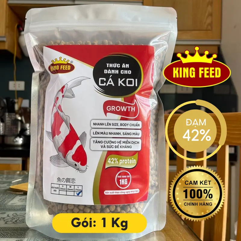 Cám Cá Koi King Feed độ đạm 42%, Túi 1 kg, Body chuẩn, lên mầu đẹp, tăng size nhanh 2