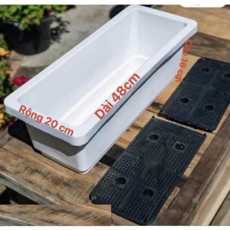 Product Introduction of Chậu nhựa trồng rau trồng hoa cây cảnh thông minh hình chữ nhật 48x20x16cm tiện ích 16