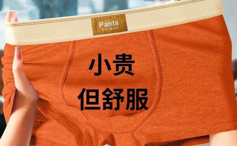 Product Introduction of Đồ Lót Nam Trơn Chất Liệu Cotton Nguyên Chất, Thiết Kế Boxer Đơn Giản, Thoáng Khí, Hàng Mới Về, Hợp Xu hướng, Kháng Khuẩn, Thích Hợp Cho Chàng Trai Trẻ Trung Và Thanh Niên, Quần Đùi Boxer 23