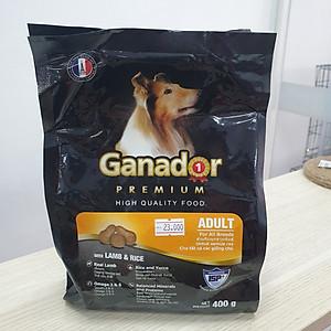 [ Combo 5 gói ] Thức ăn Ganador cho chó con, chó trưởng thành bịch 400g 1