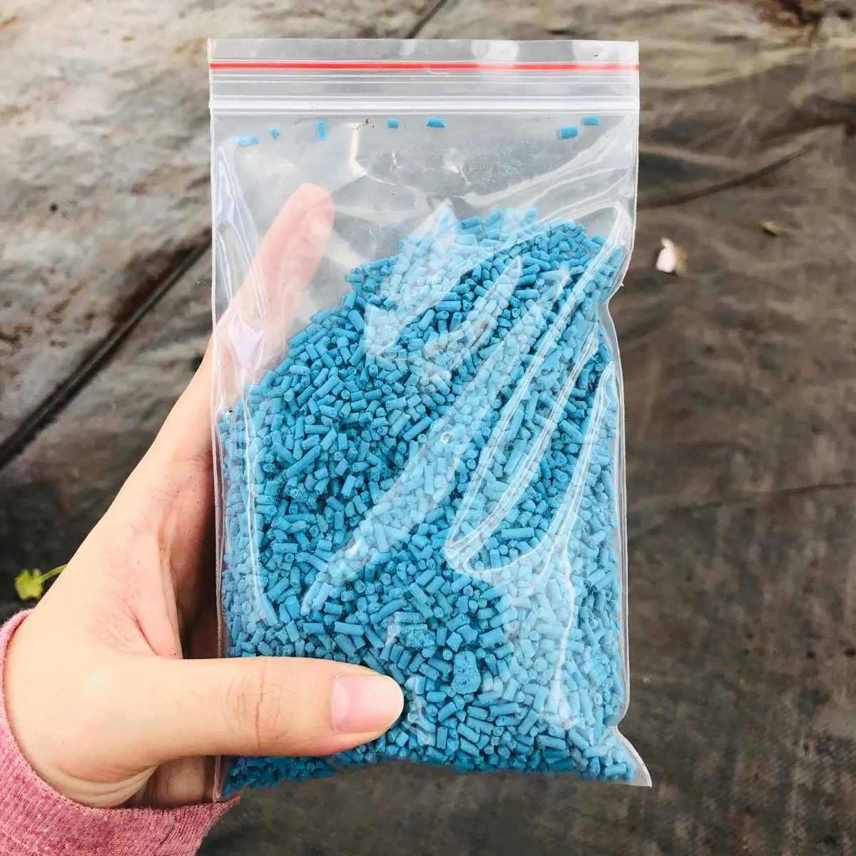 TÚI 100 Gram Thuốc Sên  .