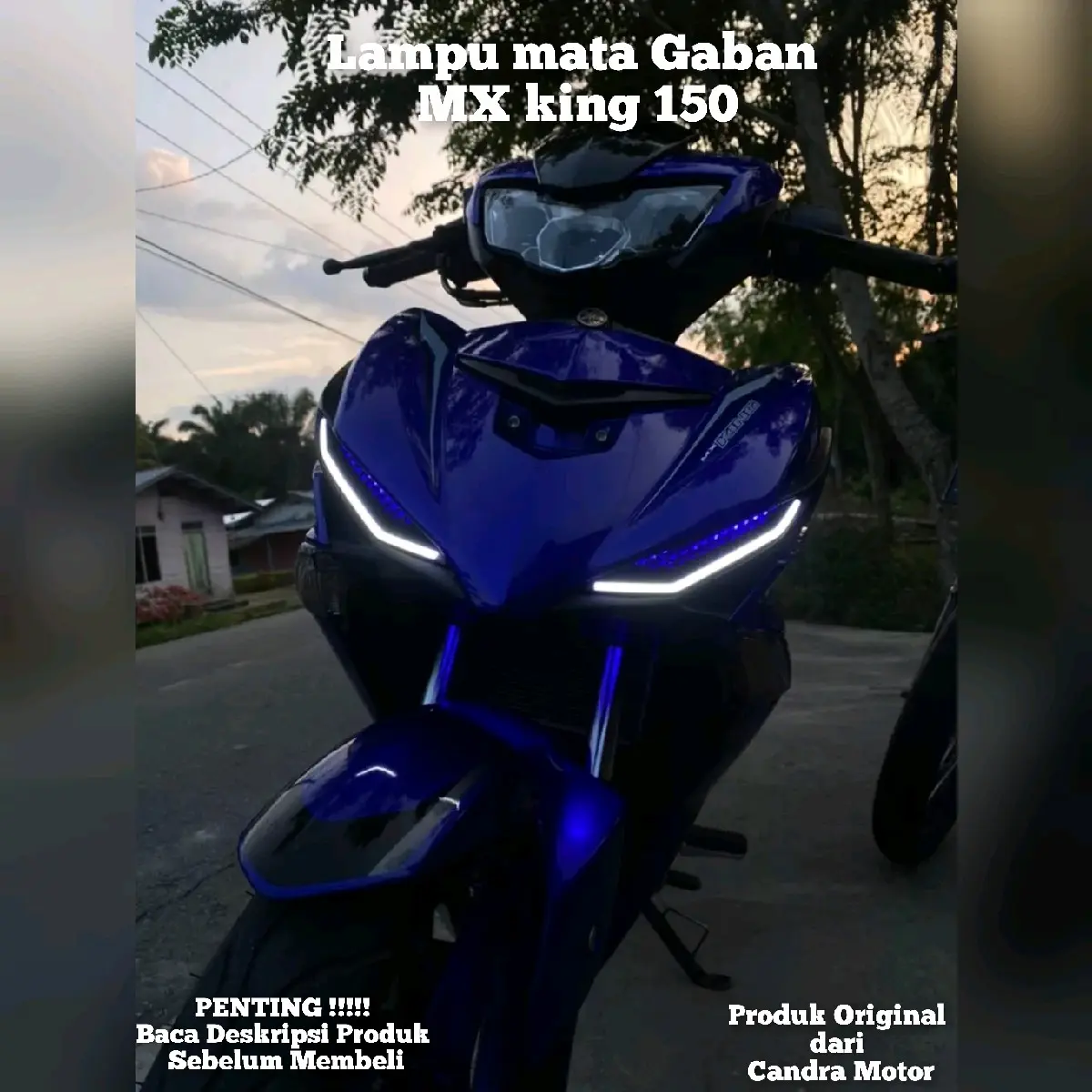 lampu mata gaban Motor MX king 150