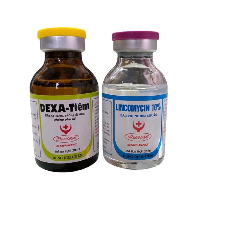 Bộ đôi Lincomycin và dexa - Tiêu kén, sưng củ bàn, kén lườn, kén đầu, sưng gối cho gà chai 20ml 5