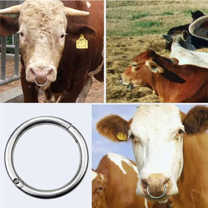 Cincin Ring Stainless Untuk Hidung Sapi Lembu Kerbau Cow Bull Ox Cattle Nose Ring Stainless 2