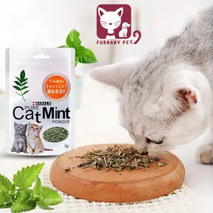 Catmint Kucing Catnip Kucing Cat mint Powder 5g Snack Kucing