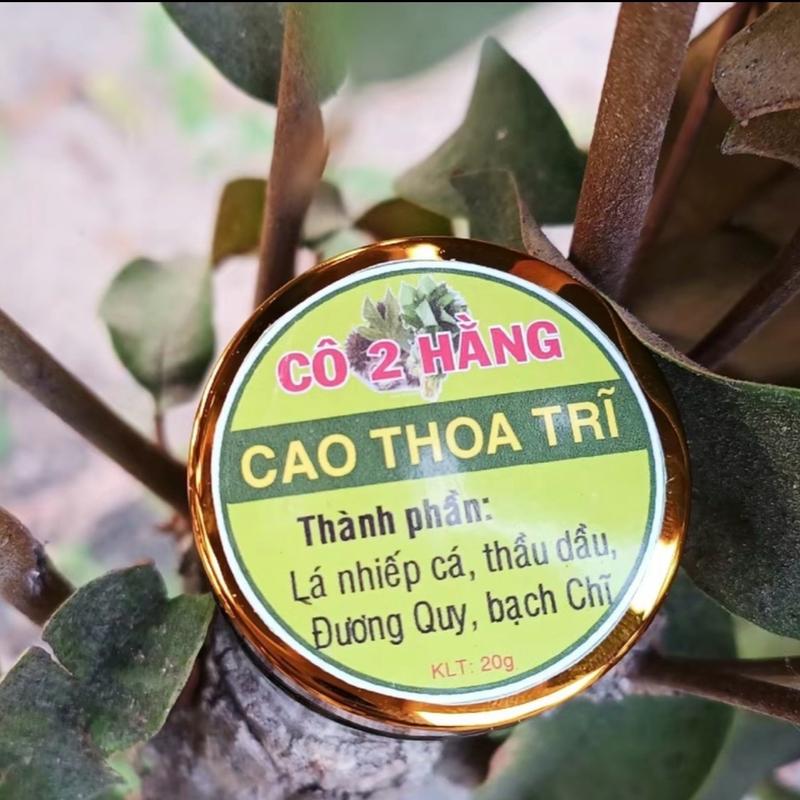 Cao Thoa Trĩ Cô 2 Hằng: thành phần      Thành phần: 100% tự nhiên nên không lo tác dụng phụ, cao được điều chế từ cây thầu dầu tía kết hợp với rau sam, tử thảo,tê tê, thương truật, huyết dụ  giúp kháng khuẩn, tiêu viêm, tăng cường lưu thông máu làm ta 1