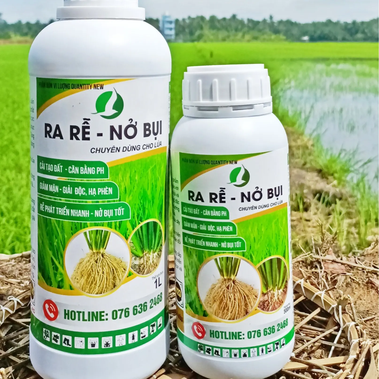 PHÂN BÓN CHO LÚA ĐẦU VỤ, RA RỄ MẠNH, NỞ BỤI TỐT - CHAI 500ML VÀ CHAI 1 LÍT