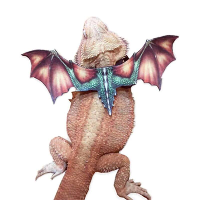 Product Introduction of Reptile Lizard Leash Adjustable Anti-Bite Wings Flexible Comfortable Bearded Dragon Harness Small Animal Clothes Supplies 23