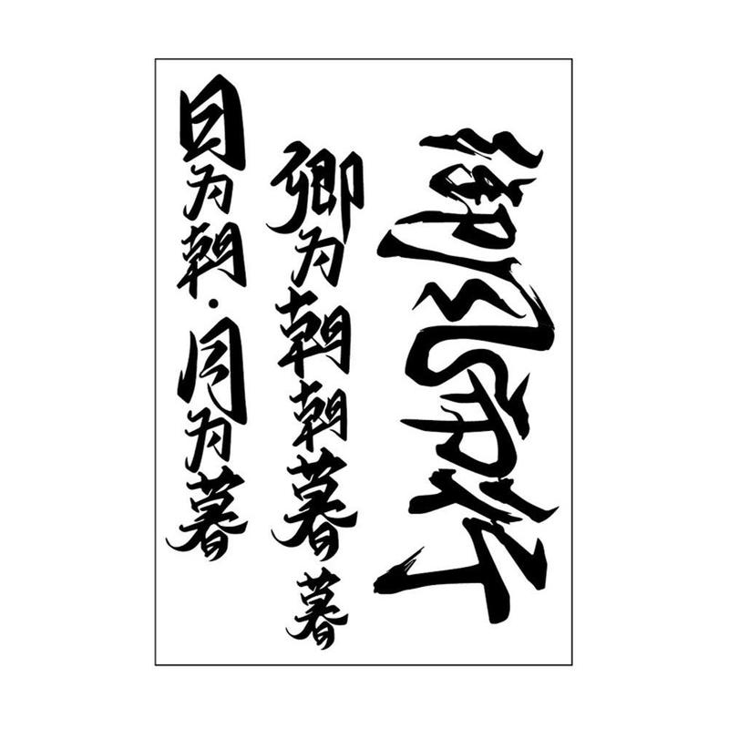 Empowering Chinese Phrases Temporary Tattoo Stickers 12 Weeks Longevity E2J0 8