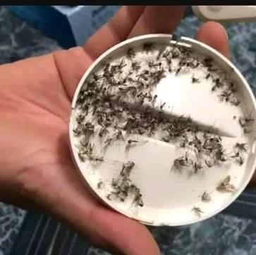 Đèn Bắt Muỗi Thông Minh Có Đèn LED Máy Diệt Côn Trùng THÔNG MINH 3