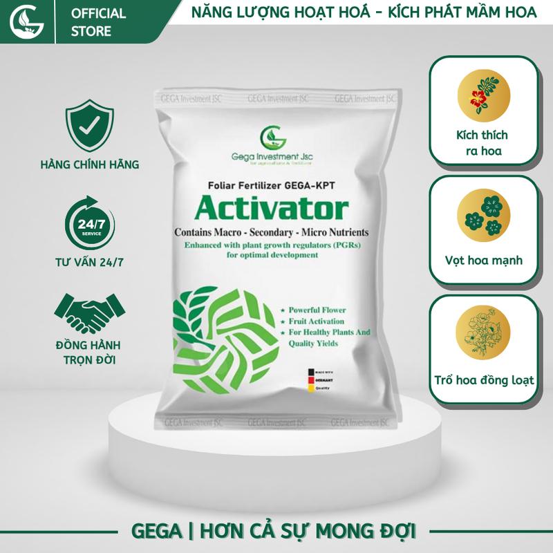 Phân bón ACTIVATOR Kích phát tố - Kích ra hoa mạnh, trổ hoa đồng loạt để dễ quản lý sâu bệnh 1