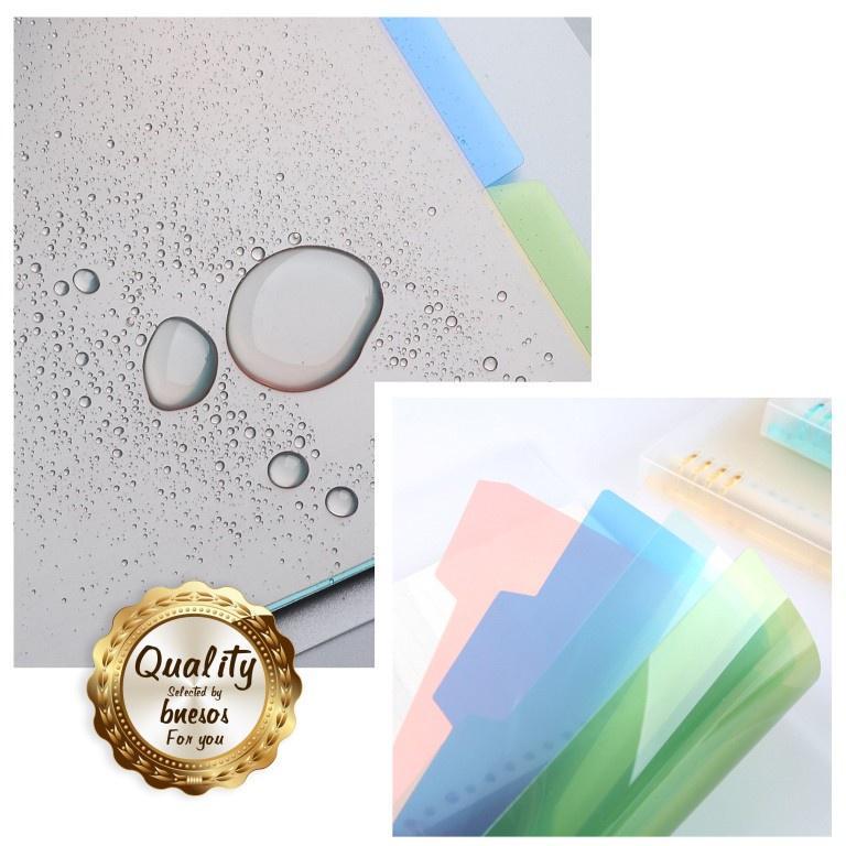 Binder Divider Index Page Index Separator Notebook Divider (9 pcs/Set) | SPX 4