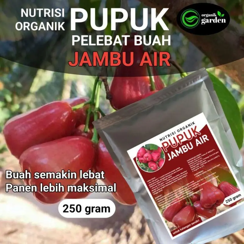 pupuk pelebat buah JAMBU AIR | booster nutrisi organik 250 gram