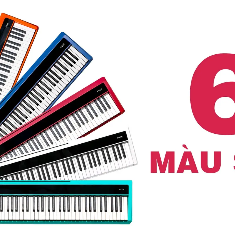 Đàn Piano điện phím Hammer-Action Bluetooth Audio & Midi KZM P215 0